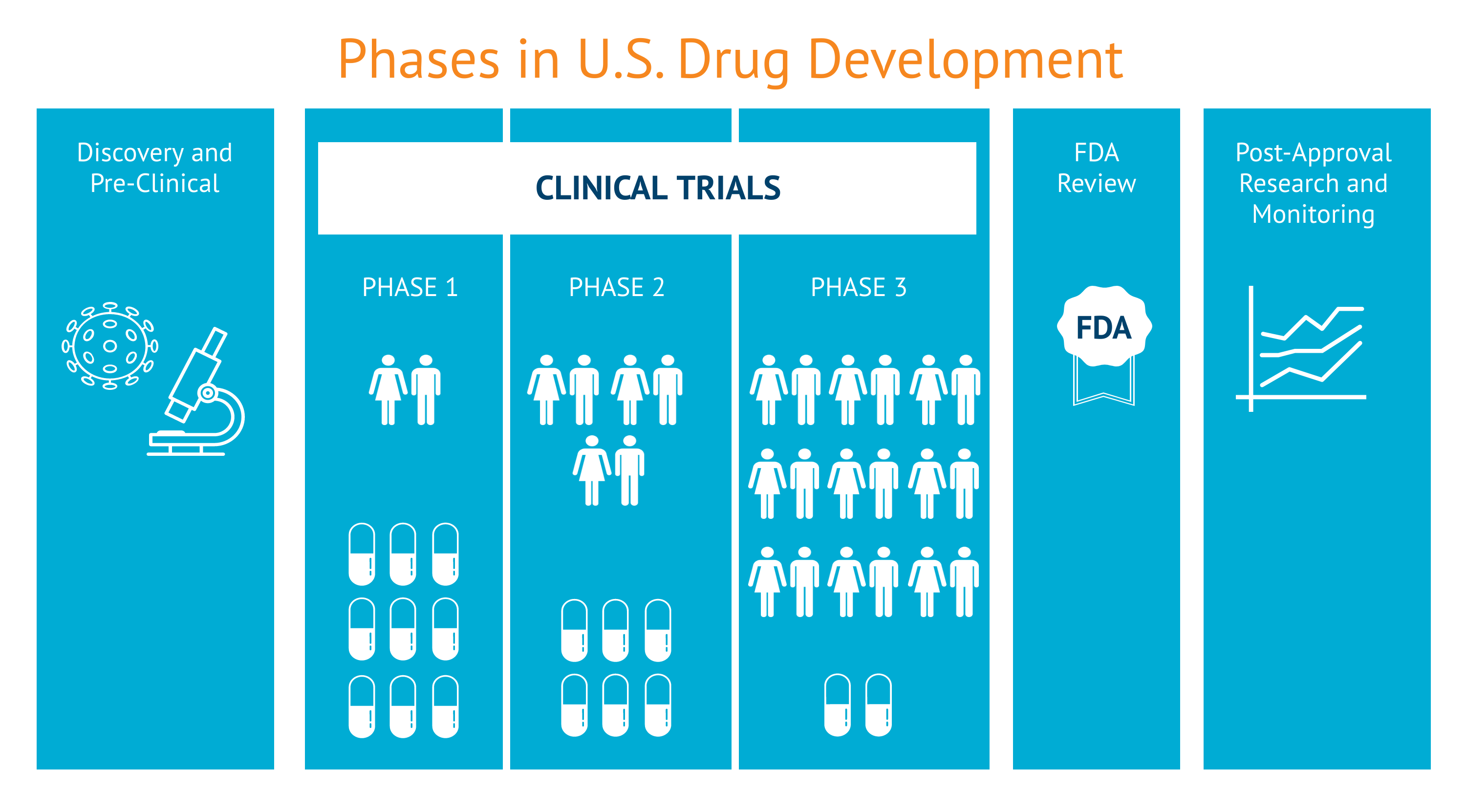 Phases in Drug Development TradeVistas