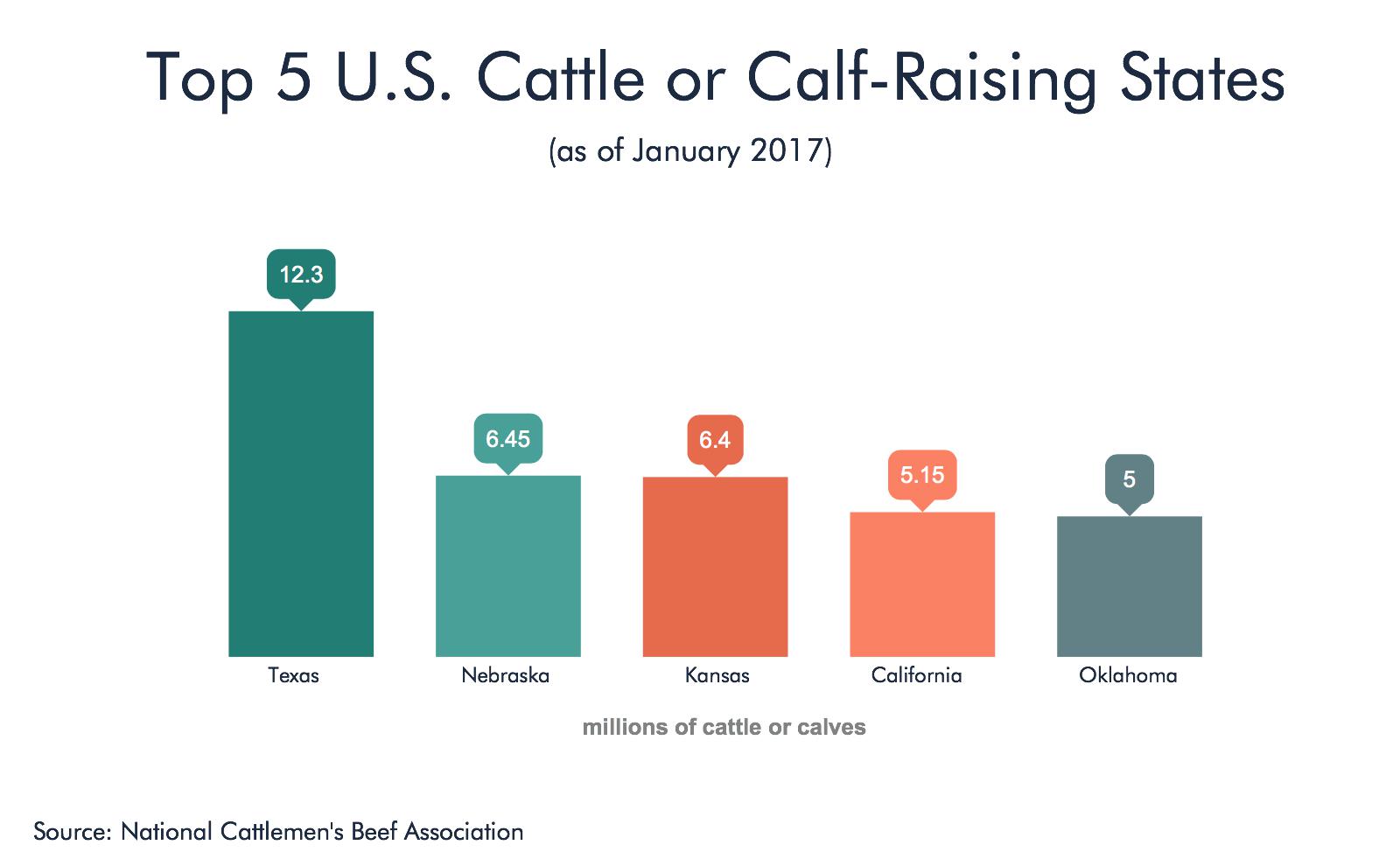 Top 5 US States for Cattle or Calf Raising