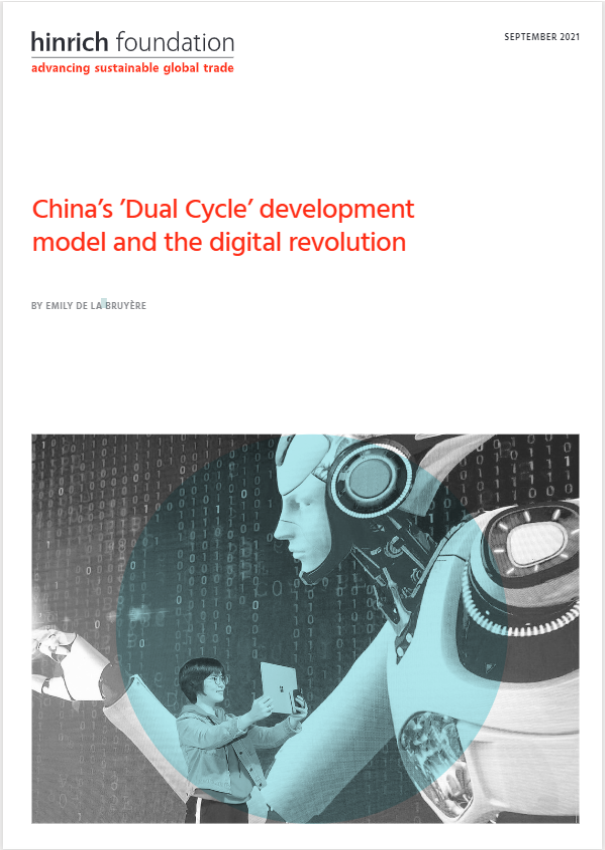 China Dual Cycle development model and digital revolution white paper