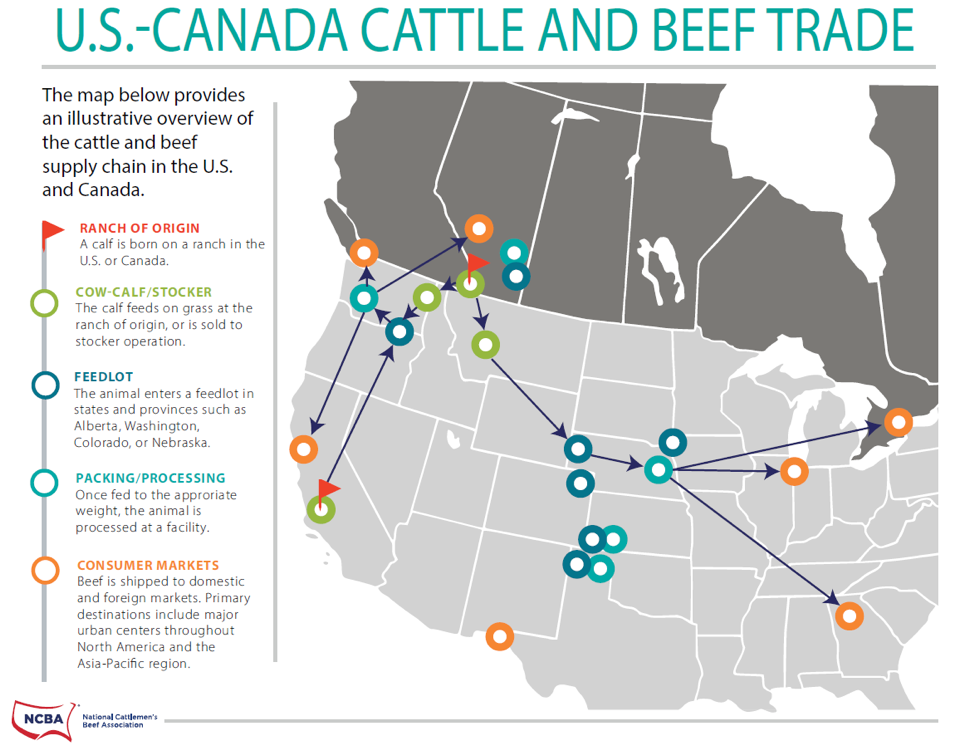 US-Canada Beef and Cattle Trade